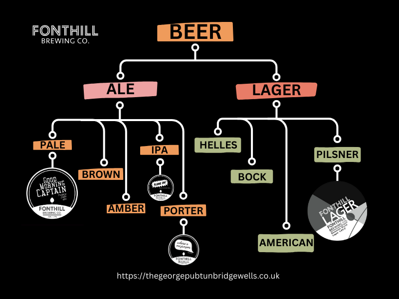 A tree diagram displaying the different types of beer and their categories, including ale and lager, and example beers from Fonthill Brewery